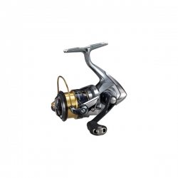 Vanquish VANQC2000HGSFA